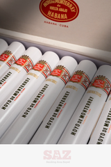 Hoyo de Monterrey Coronations Tube