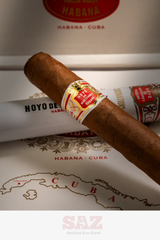 Hoyo de Monterrey Coronations Tube