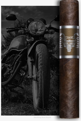 CAO Flathead Steel Horse